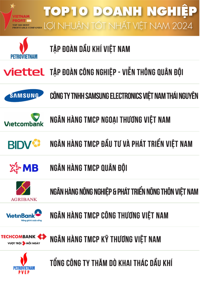 Top 10 DN tư nhân lãi nhất Việt Nam: Vingroup đứng sau ACB, FPT trở lại Top 10 sau 5 năm vắng bóng, Hòa Phát không còn trong danh sách- Ảnh 3.