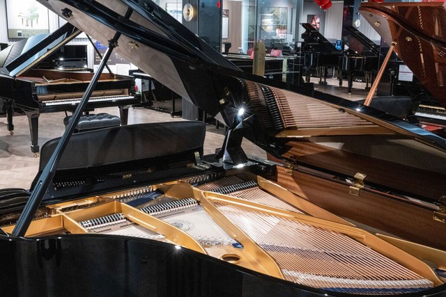 10 năm lụi tàn: Thảm cảnh ngành bán đàn piano tại Trung Quốc, giảm giá kỷ lục nhưng chẳng ai mua, từ biểu tượng thượng lưu thành thứ phí tiền- Ảnh 6.