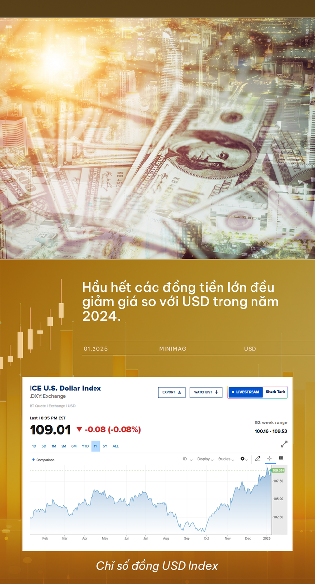 Năm 2024 hoàng kim của tiền số, ngai vàng cho đồng USD và cơn sốt vàng tiếp diễn: Sự trỗi dậy của ông Donald Trump làm thay đổi thị trường như thế nào?- Ảnh 5.