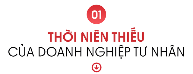 Thế hệ tiên phong - Những bước chân đầu đời của doanh nghiệp tư nhân Việt Nam - Ảnh 1.