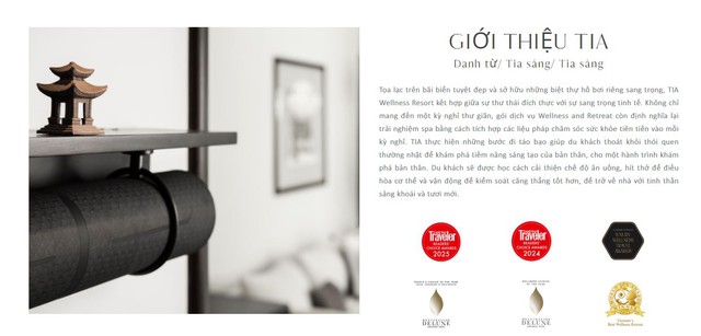 BOD Thân Thục Quyên - Ảnh 2.