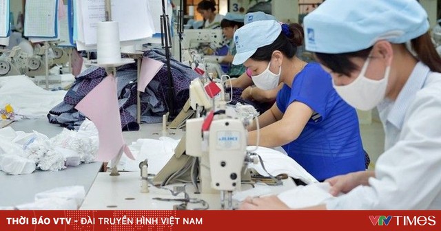 Doanh nghiệp xuất khẩu “căng sức” vì cước vận tải tăng cao - Ảnh 1.