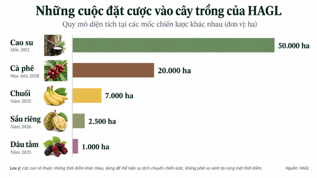 Bầu Đức sau 15 năm 'làm nông': Miệt mài 'đổi cây, đổi con' tìm hướng đi cho HAGL - Ảnh 1.