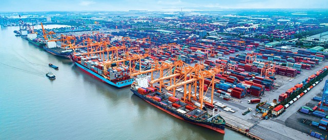 Hải Phòng tận dụng lợi thế cửa ngõ logistics, đưa doanh nghiệp lên Amazon để bán hàng toàn cầu - Ảnh 1.