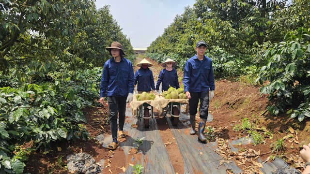 Bầu Đức lập Ủy ban ESG quy tụ 2 tiến sĩ, 3 thạc sĩ: 'Làm nông nghiệp lớn như HAGL mà không có cái này là không ổn' - Ảnh 2.