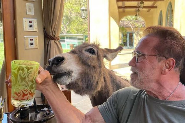 Trước khi thành danh nhờ điện ảnh, "Kẻ huỷ diệt" Arnold Schwarzenegger đã là triệu phú BĐS khi mới ngoài 20 tuổi - Ảnh 4.