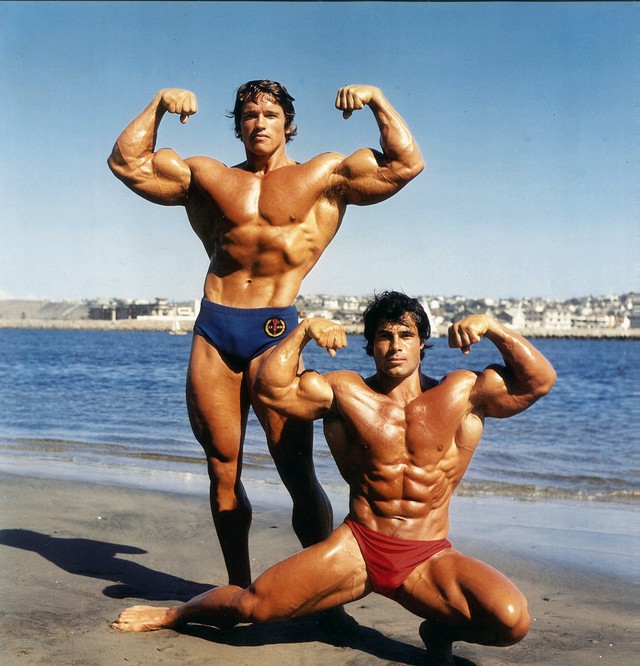 Trước khi thành danh nhờ điện ảnh, "Kẻ huỷ diệt" Arnold Schwarzenegger đã là triệu phú BĐS khi mới ngoài 20 tuổi - Ảnh 2.