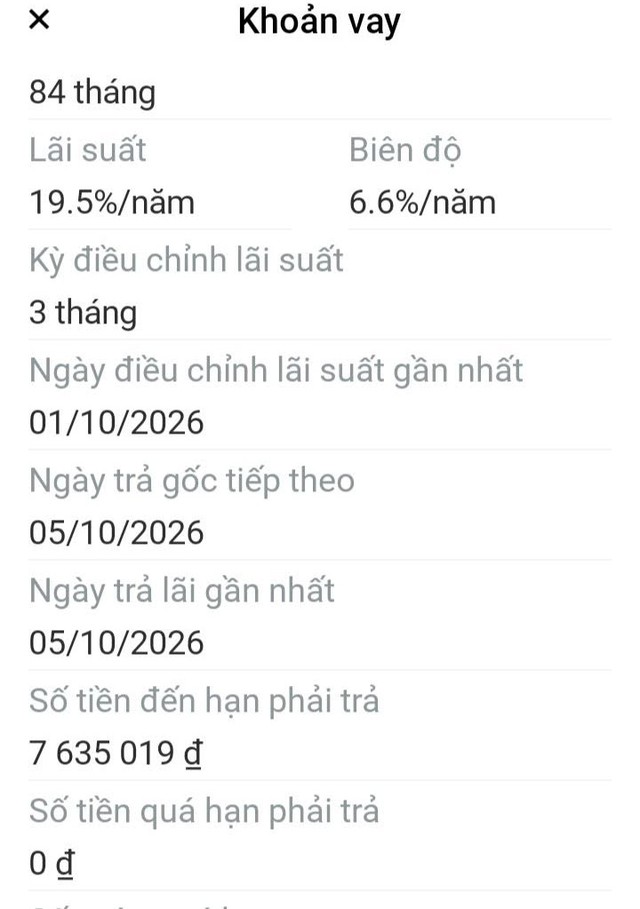 Lãi suất vay mua ô tô thả nổi gần 20%/năm, người mua xe 'toát mồ hôi' - Ảnh 3.
