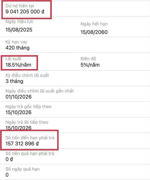 Lãi suất vay mua ô tô thả nổi gần 20%/năm, người mua xe 'toát mồ hôi' - Ảnh 5.
