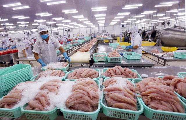 VASEP: Cùng một loại tôm, cá, mực nhưng có nơi miễn thuế, có nơi áp dụng thuế 8% hoặc 10% - Ảnh 1.