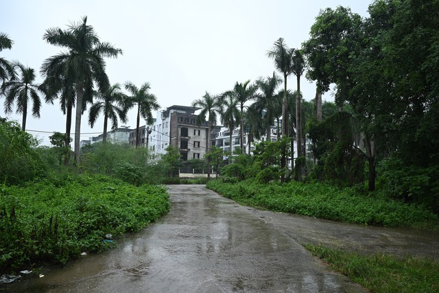 Vĩnh Hưng trước cuộc tái thiết: Kề những khu đô thị triệu đô, đường vẫn chật hẹp cứ mưa là ngập - Ảnh 11.