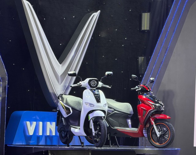 VinFast hợp tác với hơn 50 showroom tại 15 bang Ấn Độ, nhắm tới thị trường xe 2 bánh lớn nhất thế giới - Ảnh 1.