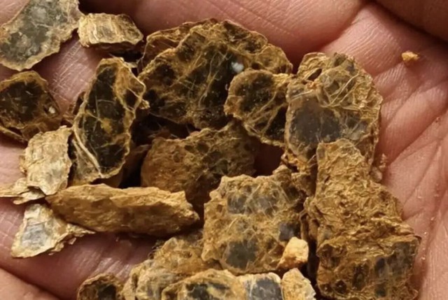 Cậu bé 8 tuổi chỉ tay vào bụi cỏ nói 