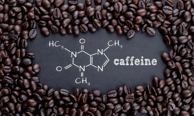 Từ vụ bắt giữ tiến sĩ dược buôn lậu hơn 50 tấn caffeine: Chất gây tỉnh táo trong cà phê liên quan gì tới sản xuất ma tuý? - Ảnh 1.