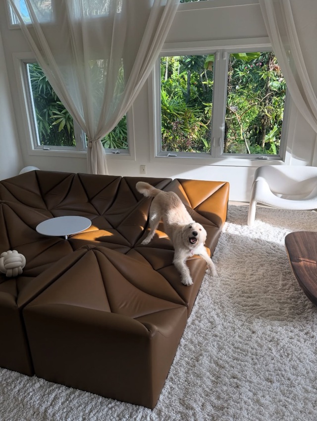 Chiếc sofa được mệnh danh là "Birkin của giới nội thất" đang gây sốt khắp MXH những ngày qua: - Ảnh 3.