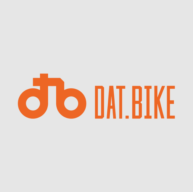 Chuyện gì đang xảy ra với Dat Bike? - Ảnh 1.