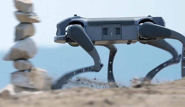 Doanh nghiệp Mỹ muốn sản xuất chó robot tại Việt Nam - Ảnh 1.