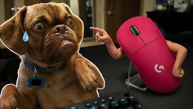 Ví khách hàng như chó trên Douyin, nhà phân phối của Logitech bị phạt gần 800 triệu đồng - Ảnh 3.