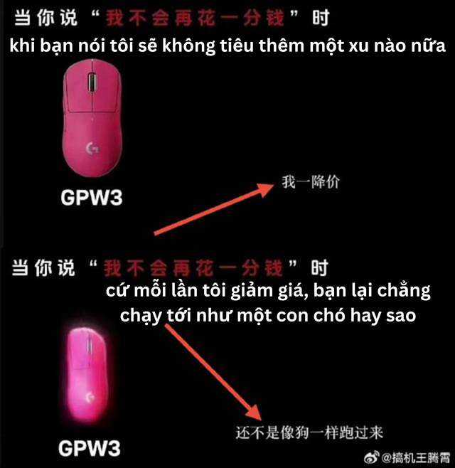 Ví khách hàng như chó trên Douyin, nhà phân phối của Logitech bị phạt gần 800 triệu đồng - Ảnh 1.