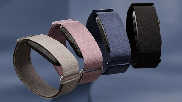 Garmin ra mắt vòng đeo không màn hình đầu tiên: Pin 10 ngày, theo dõi hơn 80 môn thể thao, giá 5,3 triệu đồng - Ảnh 1.