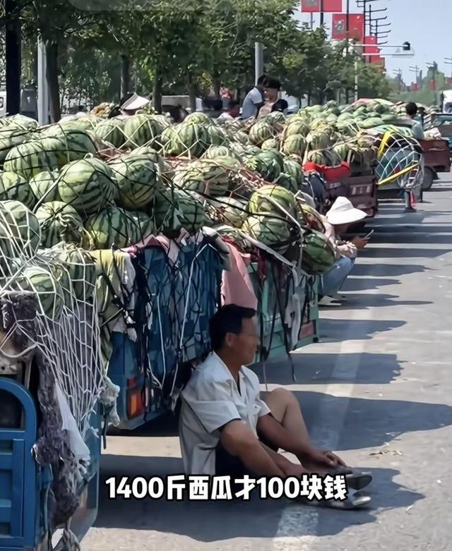 Chiến lược giải cứu nông sản giúp nông dân của Mixue - Ảnh 1.