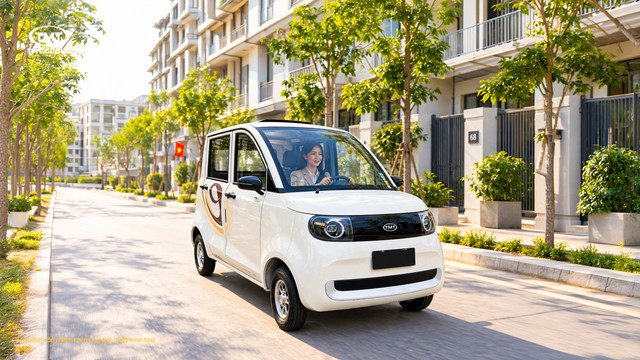 Cạnh tranh với ông Phạm Nhật Vượng làm ô điện giá chỉ từ 123 triệu đồng, tiềm lực của TMT Group mạnh cỡ nào? - Ảnh 1.
