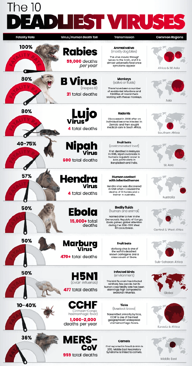 Xếp hạng: 10 loại virus nguy hiểm nhất thế giới theo tỷ lệ tử vong - Ảnh 1.