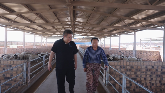 Lập trình viên lương cao bị