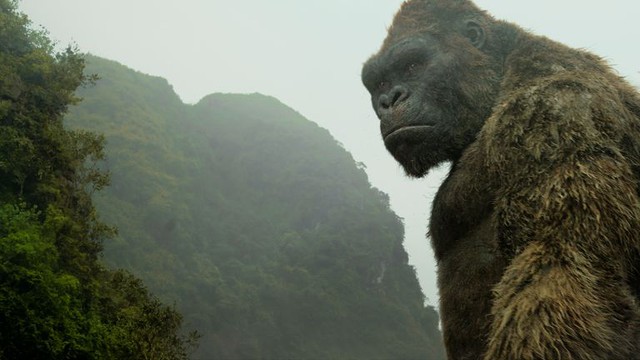 
Đừng đẩy gánh nặng du lịch Việt Nam lên vai King Kong nữa!
