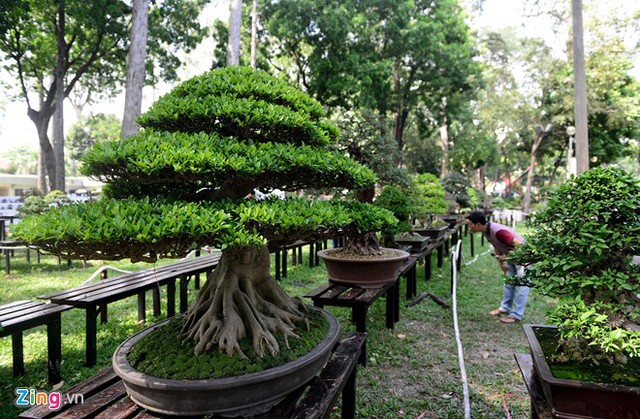 Hội Hoa xuân Đinh Dậu 2017 tại Công viên Tao Đàn, quận 1, TP.HCM, với chủ đề “Thành phố mang tên Bác - Khát vọng ngời sáng” diễn ra từ 25 tháng Chạp đến mùng 6 tháng Giêng.
