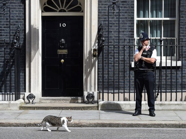 Trong khi chính trường Anh chao đảo, giới truyền thông lại bị thu hút bởi chú mèo nhà Thủ tướng - Ảnh 4.