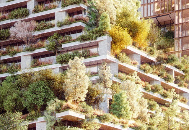 Cây xanh được trồng ở mọi nơi có thể trên tòa nhà.