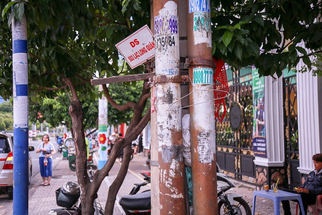 Người dân thích thú khi hơn 100 cột điện, cột đèn ở Sài Gòn bỗng nở hoa - Ảnh 1.