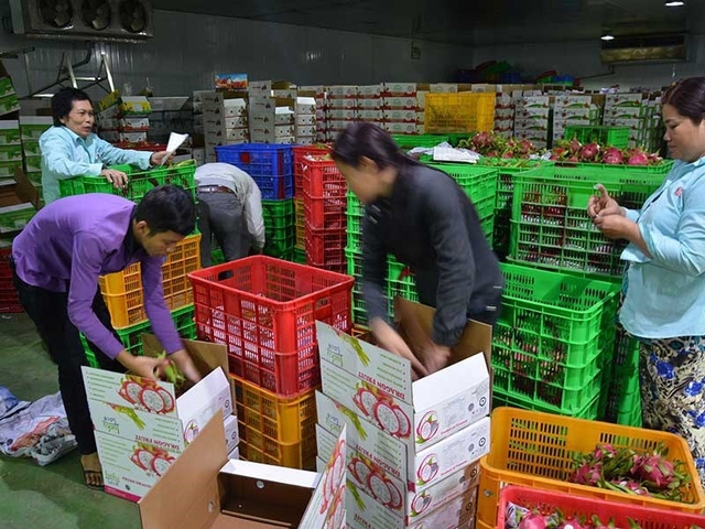 Thị trường Trung Quốc thay đổi, nhiều DN Việt lao đao - Ảnh 1. Thị trường Trung Quốc thay đổi, nhiều DN Việt lao đao - Ảnh 1.