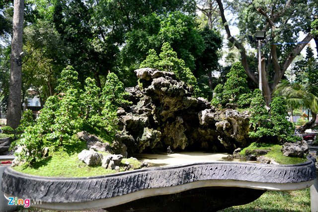 Hội hoa xuân trưng bày 4.000 hiện vật thuộc các bộ môn: hoa mai; hoa sứ; hoa lan; kiểng cổ - bonsai; non bộ - tiểu cảnh; xương rồng...