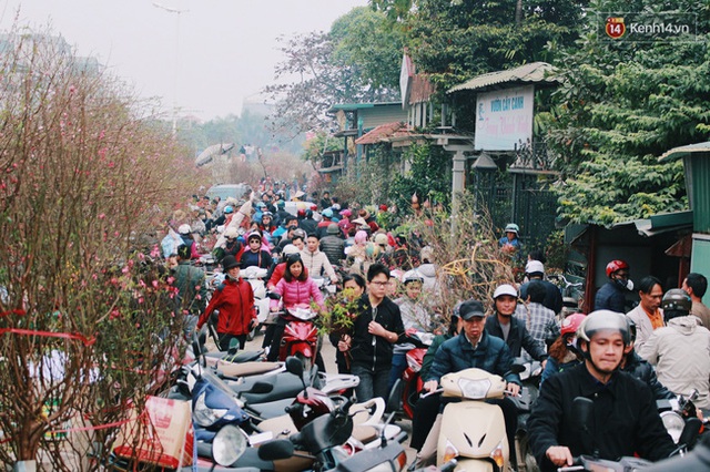 Khổ như người Hà Nội hành xác ở chợ hoa vừa đông, vừa tắc cả tiếng đồng hồ - Ảnh 1.