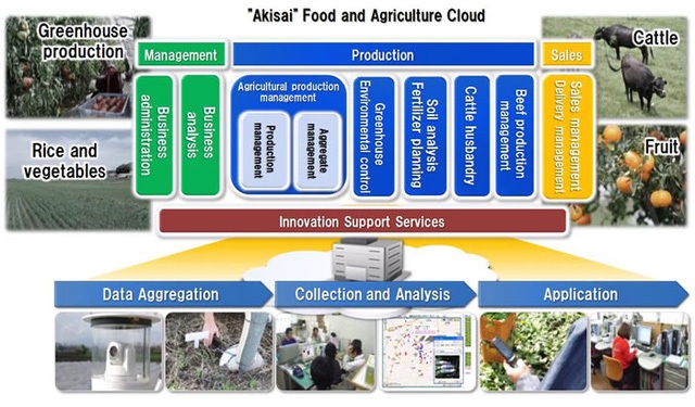 
Công nghệ nông nghiệp thông minh, kết hợp nông nghiệp với điện toán đám mây.
