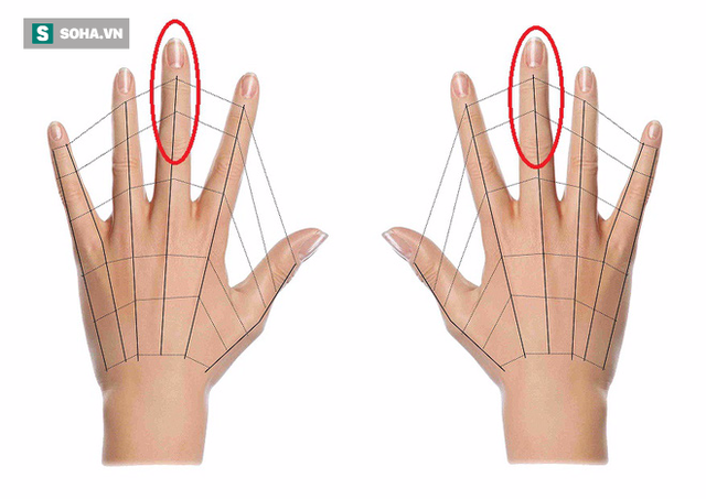 2 đốt ngón tay trên của ngón giữa là vùng đại diện của não bộ (Ảnh minh họa)