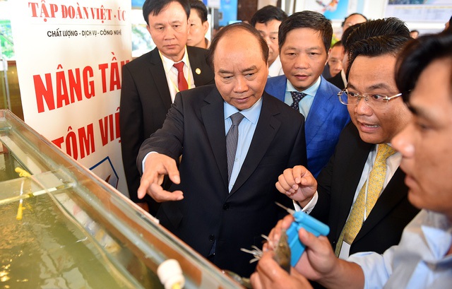 
Thủ tướng tham quan nơi sản xuất tôm giống của Tập đoàn Việt-Úc. Ảnh: VGP/quang Hiếu
