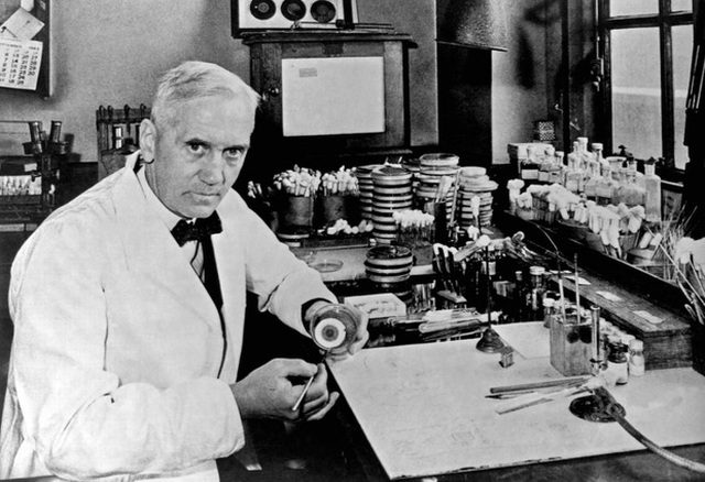 Chân dung bác sĩ Alexander Fleming trong phòng thí nghiệm của mình, nơi penicillin được “khai sinh”.