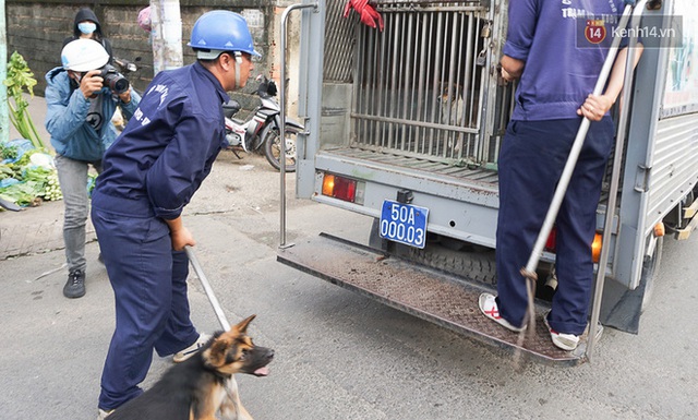 Chó cưng bị Đội săn bắt tóm, cụ bà hớt hải: Nó đi chợ với tôi, đang nằm trên vỉa hè chờ tôi về cùng thì bị bắt - Ảnh 2.