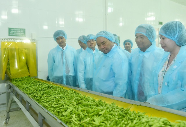 Thủ tướng thăm dây chuyền sản xuất của Công ty cổ phần Rau quả thực phẩm An Giang. Ảnh: VGP/Quang Hiếu