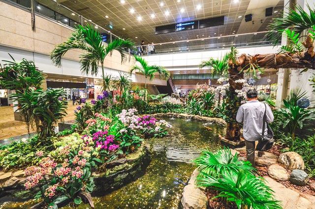 9 sân bay quốc tế với các hoạt động giải trí thú vị mà bạn không nên bỏ qua - Ảnh 3. 9 sân bay quốc tế với các hoạt động giải trí thú vị mà bạn không nên bỏ qua - Ảnh 3.