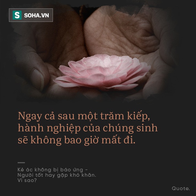 Ai cũng tự hỏi vì sao người tốt hay gặp khó, kẻ xấu vẫn thành công: Đây là câu trả lời! - Ảnh 3.