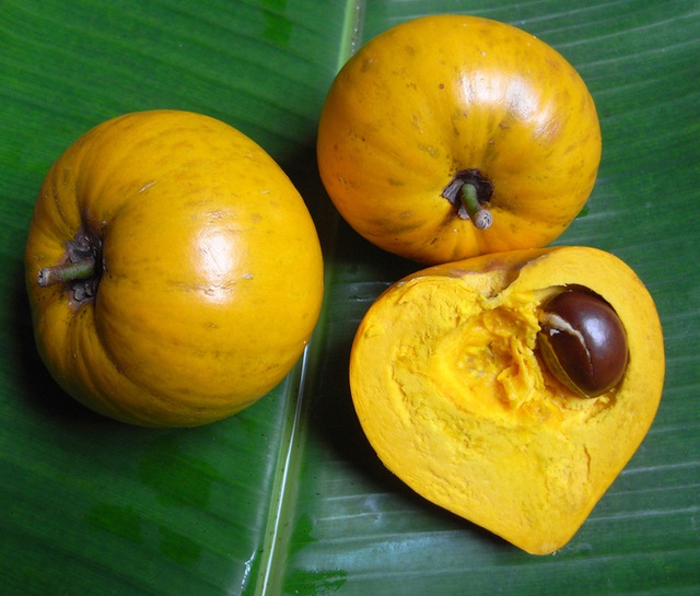 Người Châu Âu chi 1,2 triệu VND cho 1 kg bột quả trứng gà trong khi người Việt lại chê - Ảnh 4. Người Châu Âu chi 1,2 triệu VND cho 1 kg bột quả trứng gà trong khi người Việt lại chê - Ảnh 4.