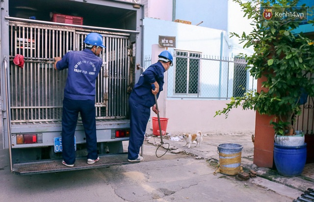 Chó cưng bị Đội săn bắt tóm, cụ bà hớt hải: Nó đi chợ với tôi, đang nằm trên vỉa hè chờ tôi về cùng thì bị bắt - Ảnh 5.