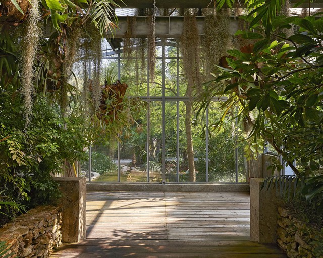 Một góc vườn với 14.000 loài thực vật