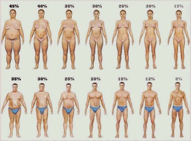 Nếu không biết tính mỡ theo công thức, bạn có thể quan sát cơ thể mình và so sánh với hình ảnh trên
