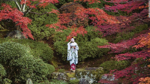 Con đường vào nghề khắc nghiệt của các Geisha tập sự - Ảnh 6.