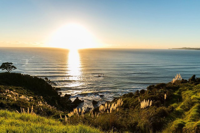 Chặng đầu tiên du khách dừng chân trong Tiger Tour chính là ở The Lodge, Kauri Cliffs.